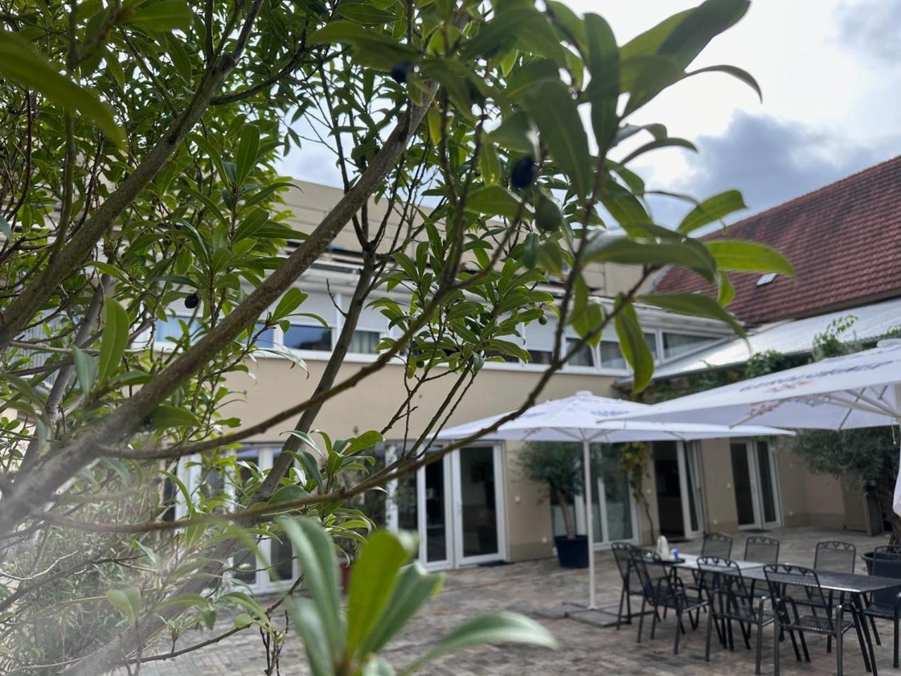 Weinhaus Selmigkeit Hotel Bingen am Rhein Exterior photo