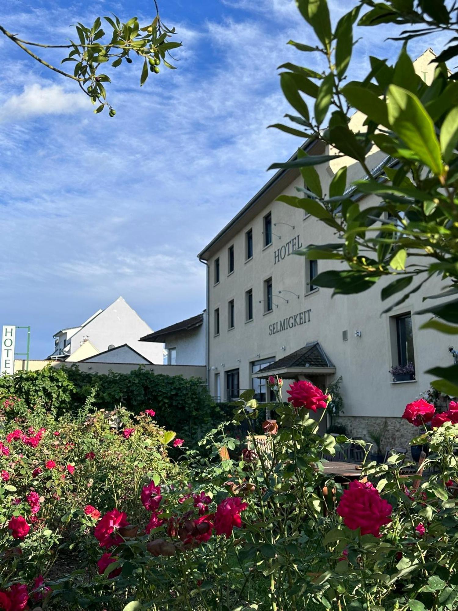 Weinhaus Selmigkeit Hotel Bingen am Rhein Exterior photo