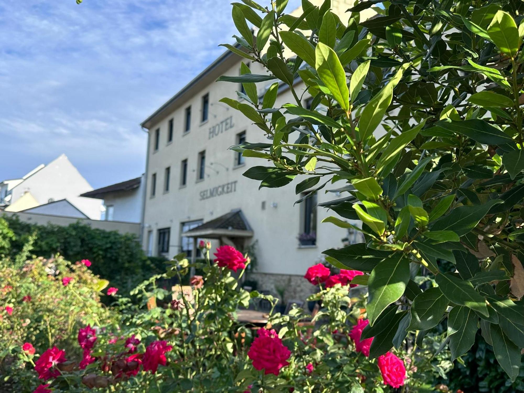 Weinhaus Selmigkeit Hotel Bingen am Rhein Exterior photo