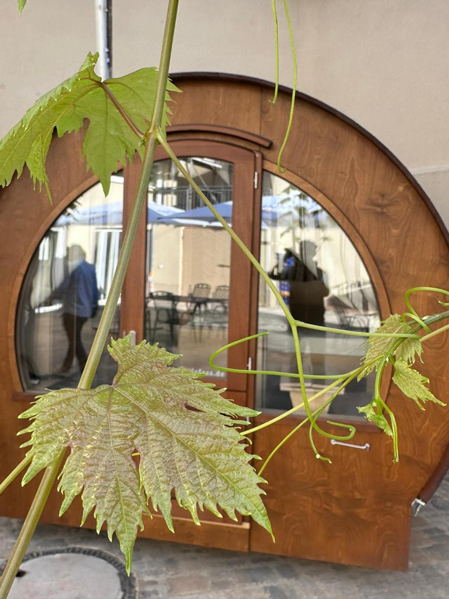 Weinhaus Selmigkeit Hotel Bingen am Rhein Exterior photo