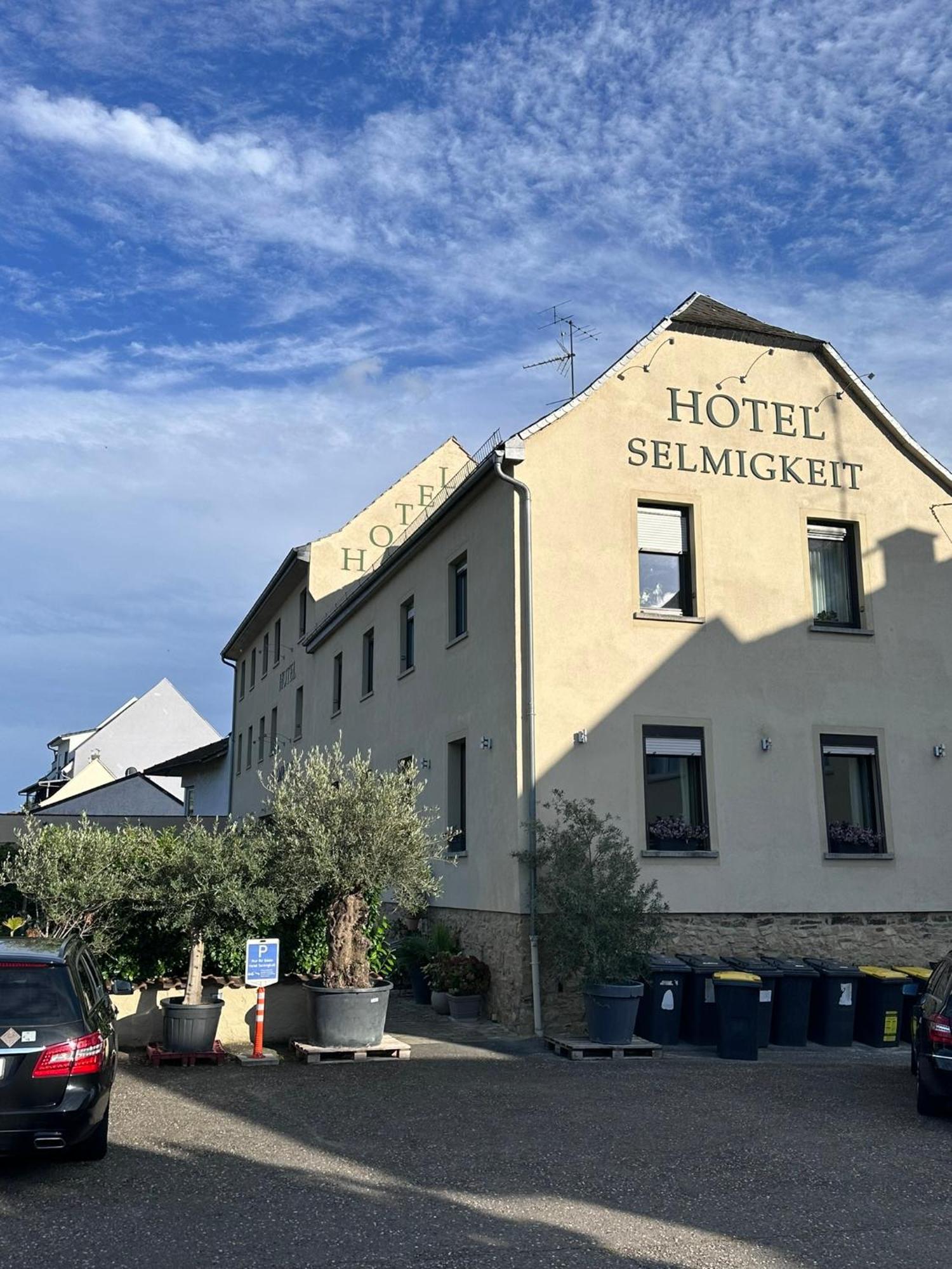Weinhaus Selmigkeit Hotel Bingen am Rhein Exterior photo